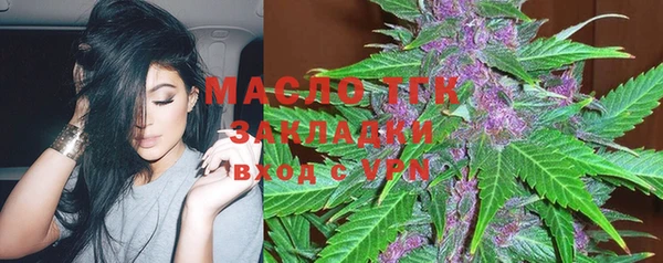 тгк Михайлов