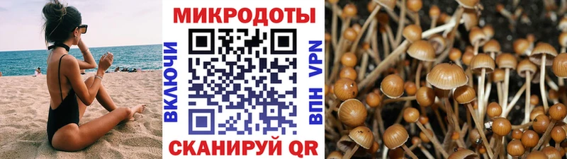 Псилоцибиновые грибы мицелий  ссылка на мегу как зайти  Благодарный 