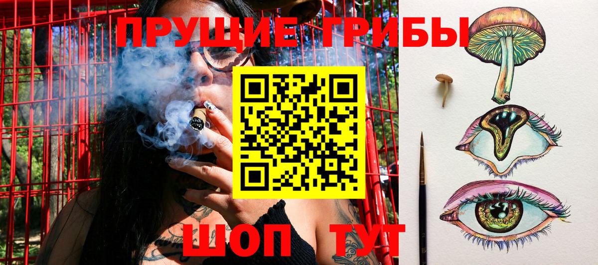 Псилоцибиновые грибы GOLDEN TEACHER  как найти закладки  Благодарный  Галлюциногенные грибы Psilocybe 