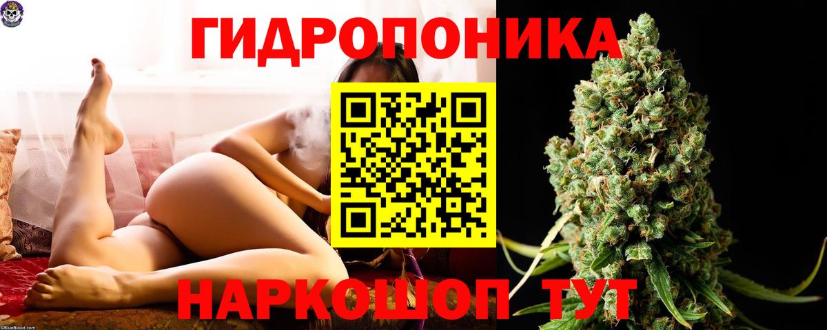 Шишки марихуана AK-47  Канабис ГИДРОПОН  Шишки марихуана гибрид  Вход с VPN  Благодарный 